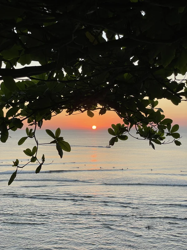 Atardecer dorado sobre el mar con surfistas en la zona de Uluwatu, sur de Bali, vista enmarcada por vegetación tropical