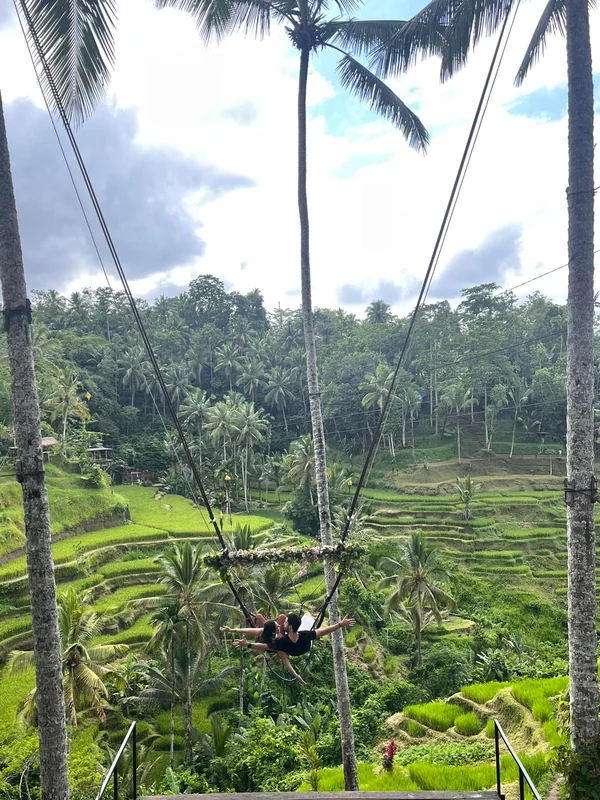 Pareja en el columpio gigante de Tegallalang volando sobre las terrazas de arroz entre palmeras, Ubud