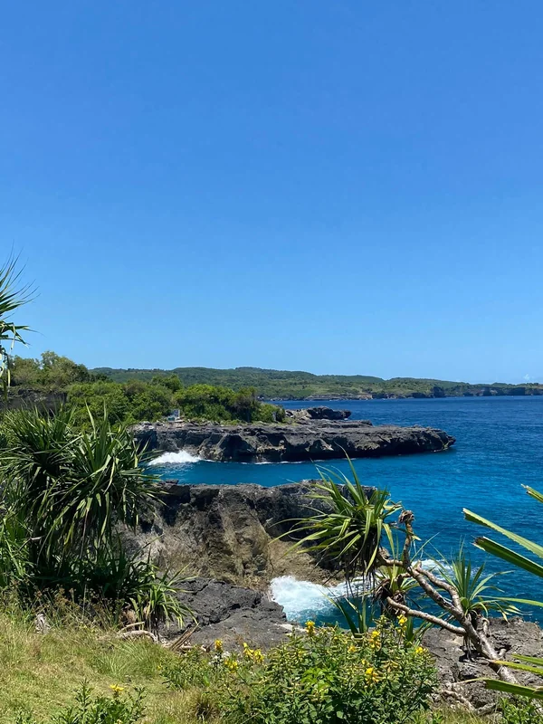 Acantilados de roca volcánica y aguas turquesas del Blue Lagoon en Nusa Ceningan, con vegetación de pandanus en primer plano