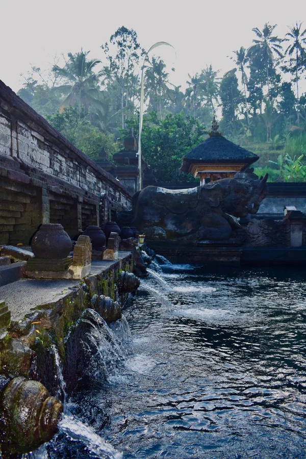 Estanque sagrado del templo Tirta Empul con sus fuentes rituales de purificación y una pagoda al fondo entre la jungla
