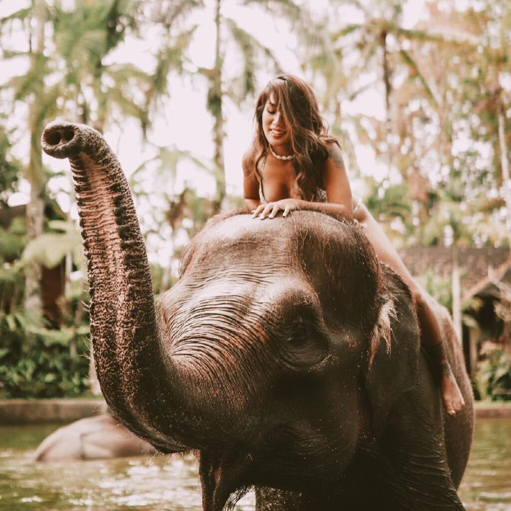 Elefantes en Bali