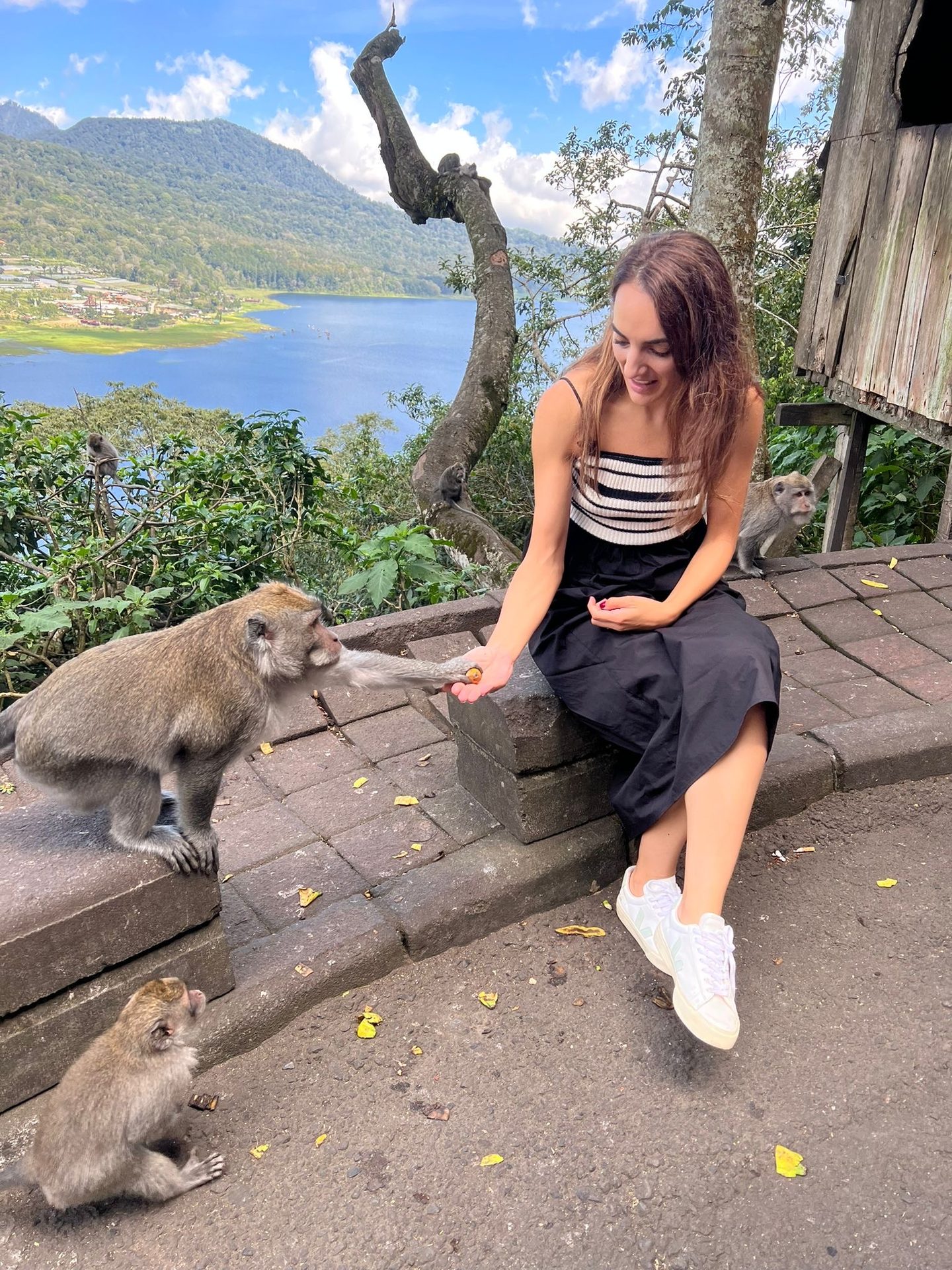 Lago Batur mono macacos chica viaje Bali