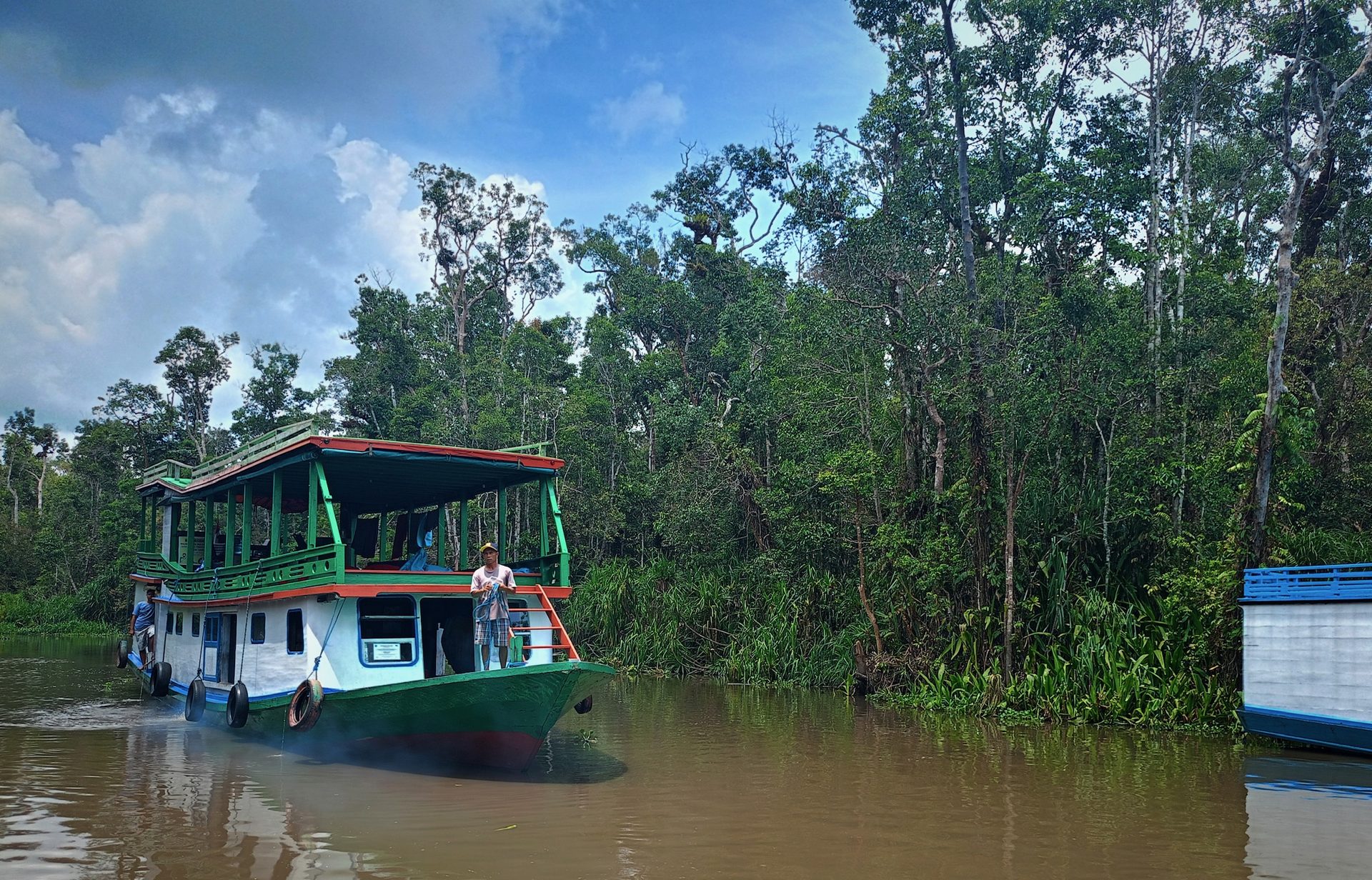Klotok Borneo barco orangutanes selva río