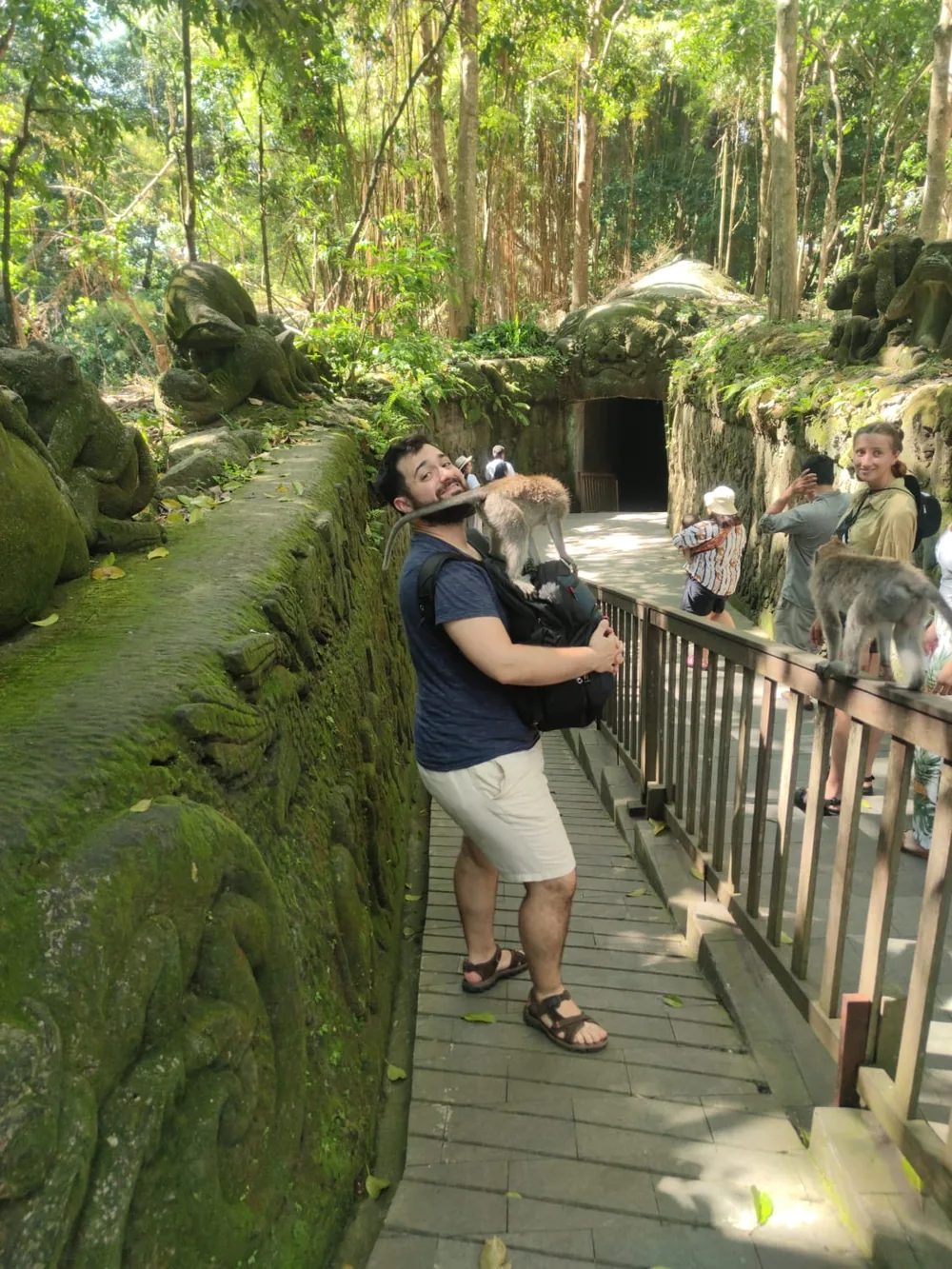 Bosque de los monos de Ubud, parada opcional de la ruta del centro de Bali