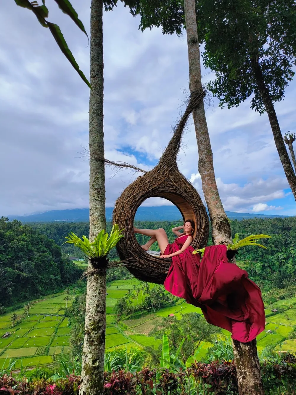 Nido sobre los arrozales de Tegalalang, ruta del centro de Bali