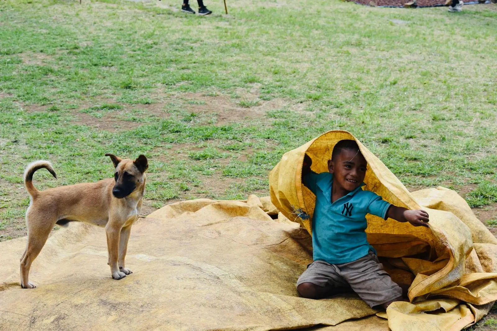 Un niño de Wae Rebo juega con un perro sobre las lonas de secado de café de la aldea