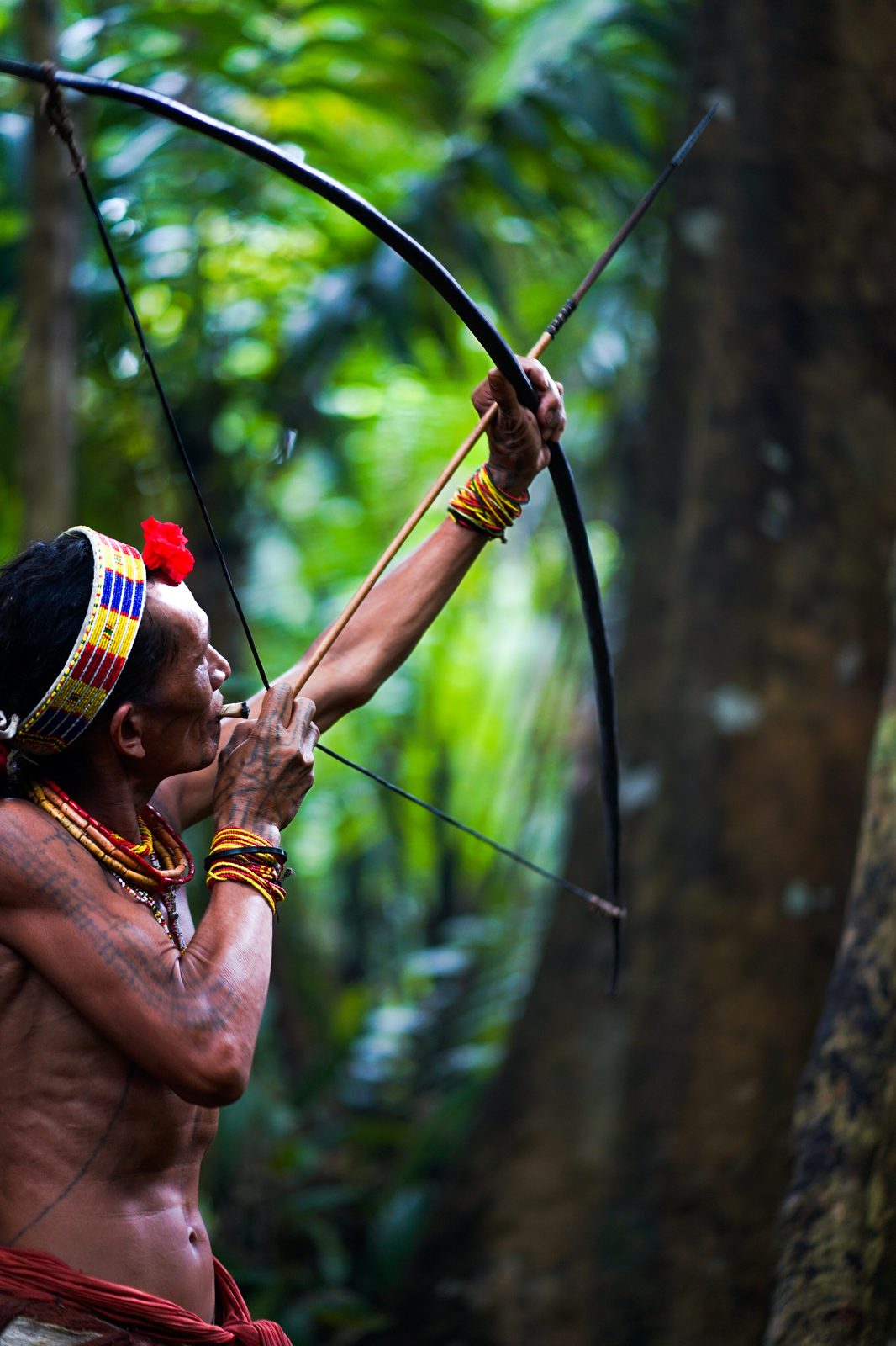 Retrato de un Sikerei Mentawai