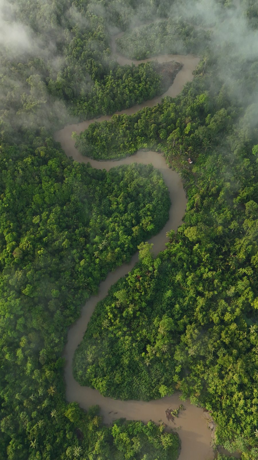 Río en la selva de Siberut, Mentawai