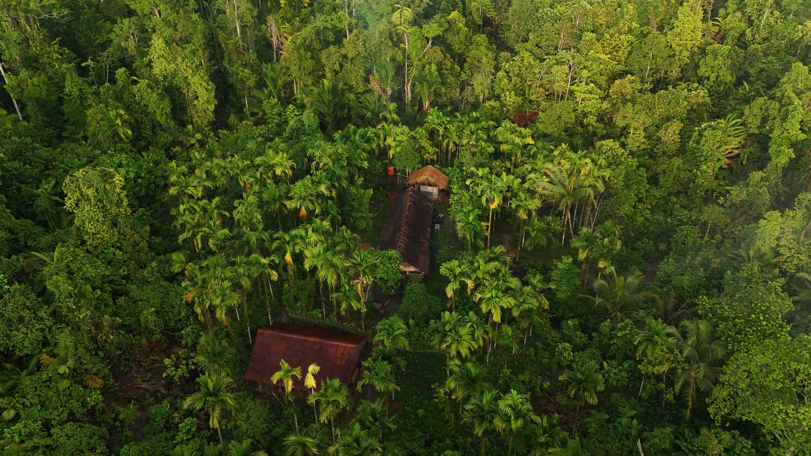 Vista aérea del asentamiento en la selva de Siberut
